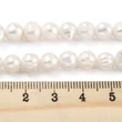 Kép 5/5 - Természetes édesvízi gyöngy szálban (7~8mm) /26db