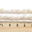 Kép 5/5 - Természetes édesvízi gyöngy szálban (5~5.5mm) /24db