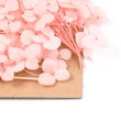 Kép 2/3 - Szárított pink virág csomag (210x148x14~24.5mm)